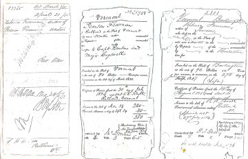 FREEMAN, Pearson - widow petition for pension benefits granted 1854 2